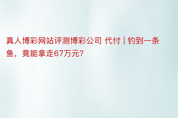 真人博彩网站评测博彩公司 代付 | 钓到一条鱼，竟能拿走67万元？