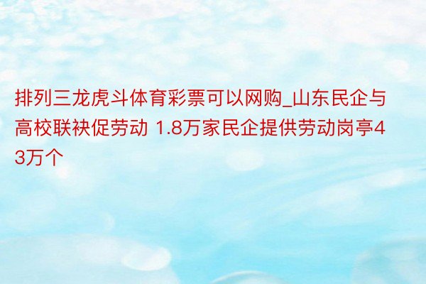 排列三龙虎斗体育彩票可以网购_山东民企与高校联袂促劳动 1.8万家民企提供劳动岗亭43万个