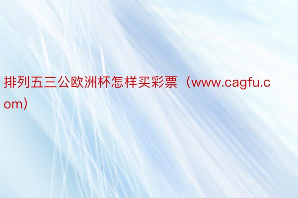 排列五三公欧洲杯怎样买彩票（www.cagfu.com）