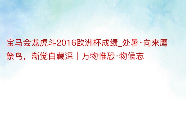 宝马会龙虎斗2016欧洲杯成绩_处暑·向来鹰祭鸟，渐觉白藏深｜万物惟恐·物候志