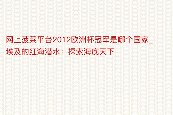 网上菠菜平台2012欧洲杯冠军是哪个国家_埃及的红海潜水：探索海底天下