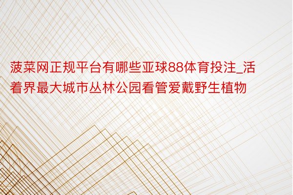菠菜网正规平台有哪些亚球88体育投注_活着界最大城市丛林公园看管爱戴野生植物