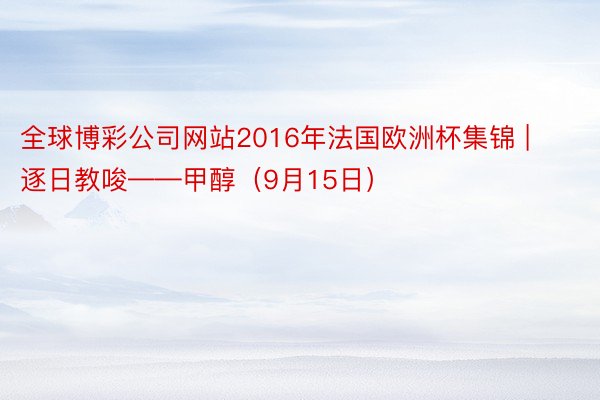 全球博彩公司网站2016年法国欧洲杯集锦 | 逐日教唆——甲醇（9月15日）