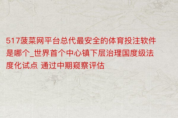 517菠菜网平台总代最安全的体育投注软件是哪个_世界首个中心镇下层治理国度级法度化试点 通过中期窥察评估